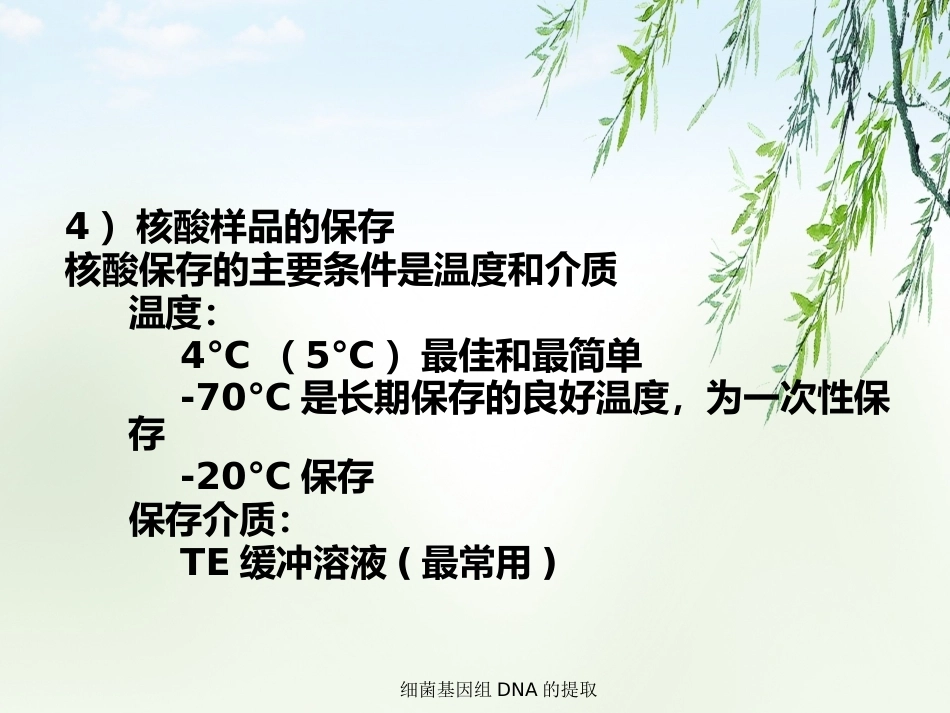 细菌基因组DNA的提取2_第13页