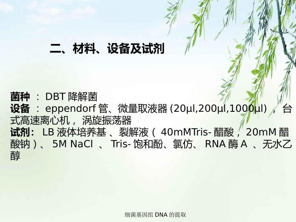 细菌基因组DNA的提取2_第14页