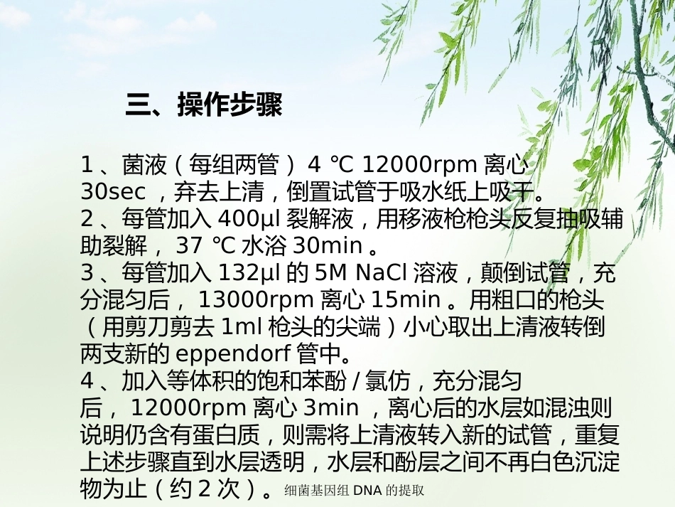 细菌基因组DNA的提取2_第15页