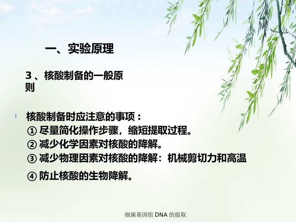 细菌基因组DNA的提取2_第2页