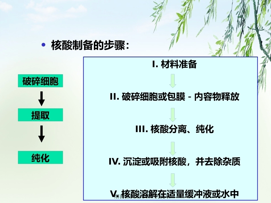 细菌基因组DNA的提取2_第3页