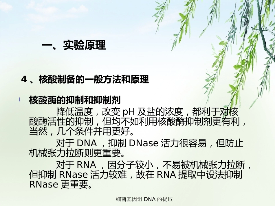 细菌基因组DNA的提取2_第4页