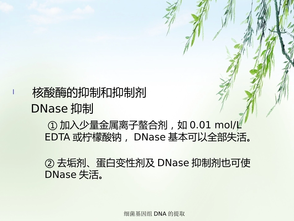 细菌基因组DNA的提取2_第5页