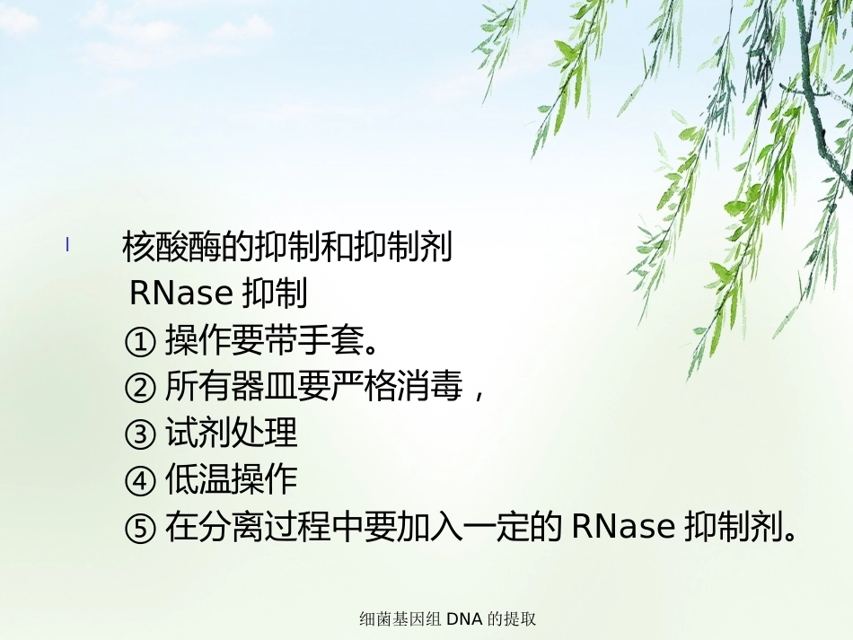 细菌基因组DNA的提取2_第6页