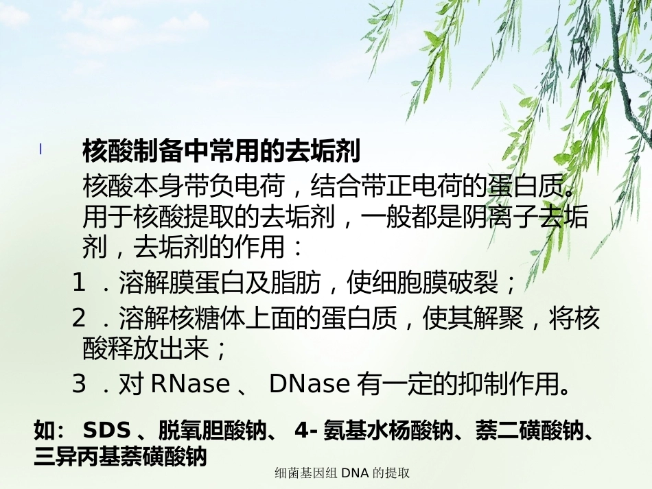 细菌基因组DNA的提取2_第7页