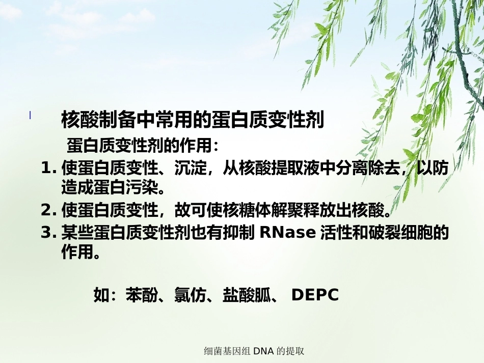 细菌基因组DNA的提取2_第8页