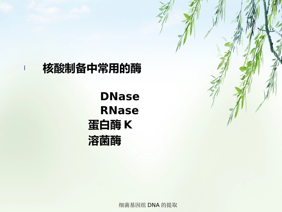 细菌基因组DNA的提取2_第9页