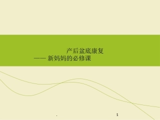 产后盆底康复PPT幻灯片