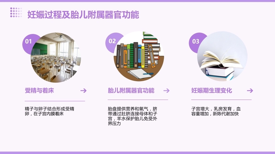 妇产科ppt课件_第11页