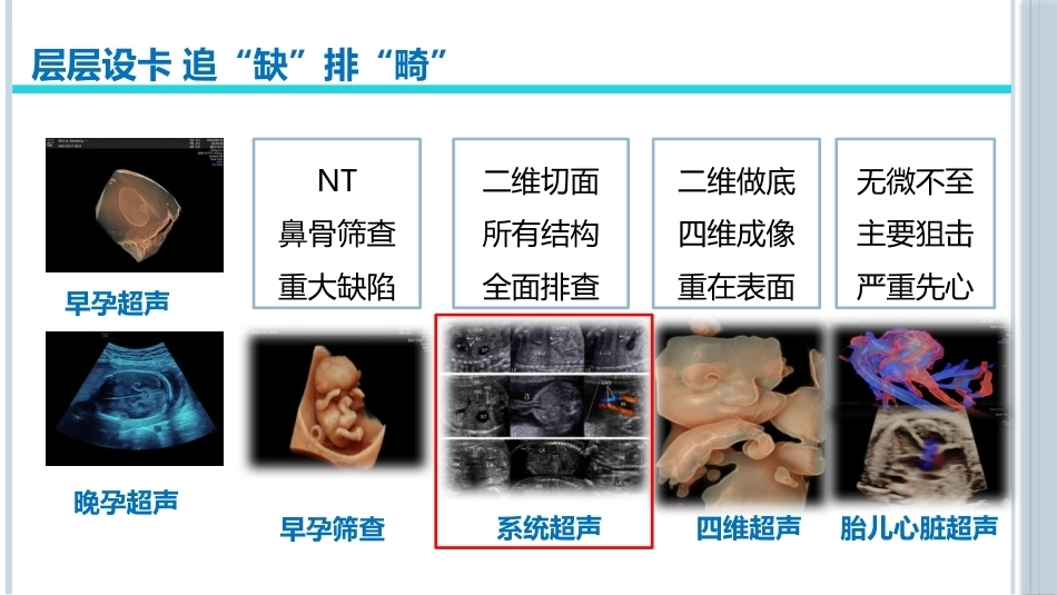 产前超声医学科普演讲_第5页
