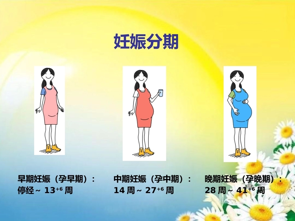 产前检查主要内容PPT课件_第6页