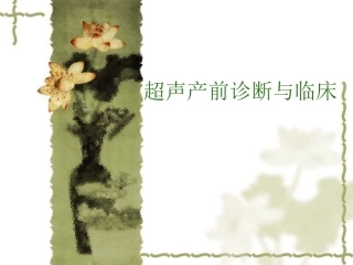 超声产前诊断与临课件