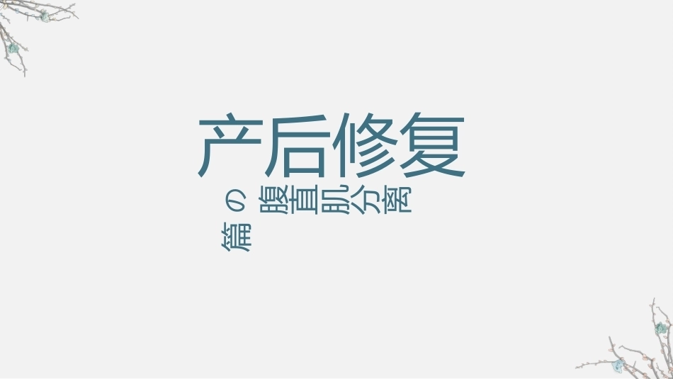 产后修复-腹直肌分离课件_第1页