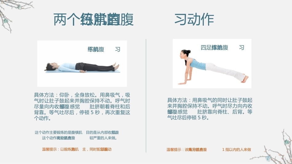 产后修复-腹直肌分离课件_第15页