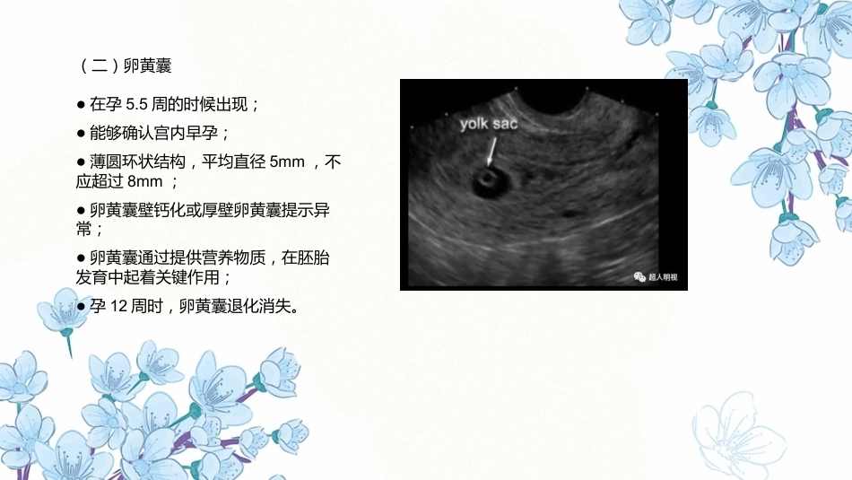 产科超声PPT正常妊娠超声表现异常妊娠 超声表现_第13页