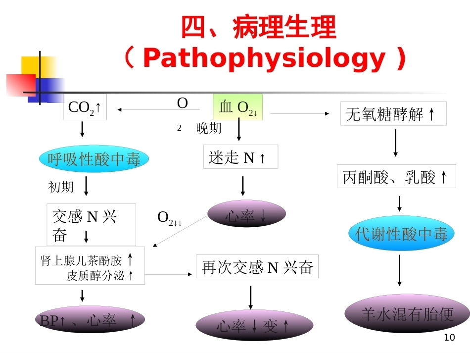 妇产科护理胎儿窘迫_第10页
