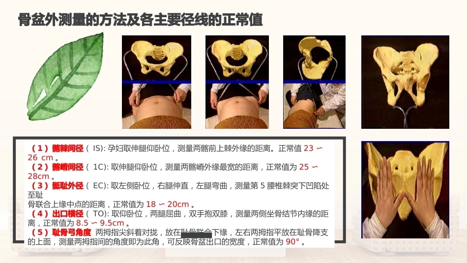 妇产科护理学基本知识_第3页