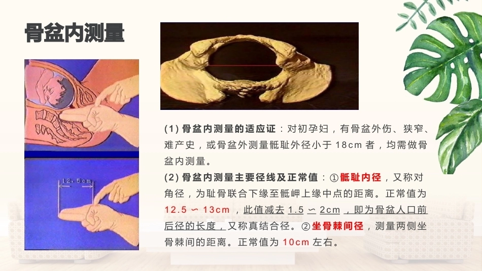 妇产科护理学基本知识_第4页