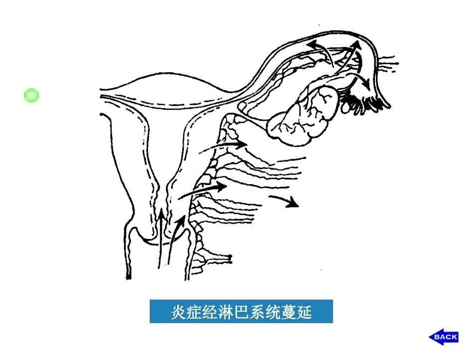 妇产科护理学_第10页