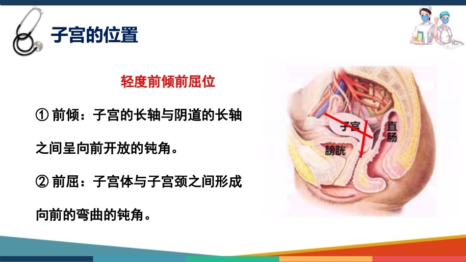 妇产科护理基础知识 子宫 妇产科护理课件_第11页