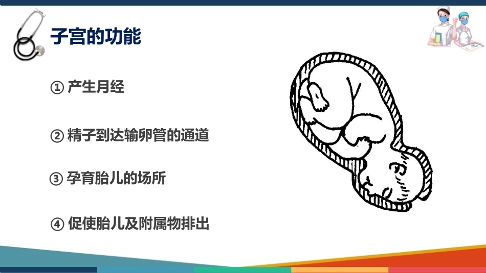 妇产科护理基础知识 子宫 妇产科护理课件_第2页