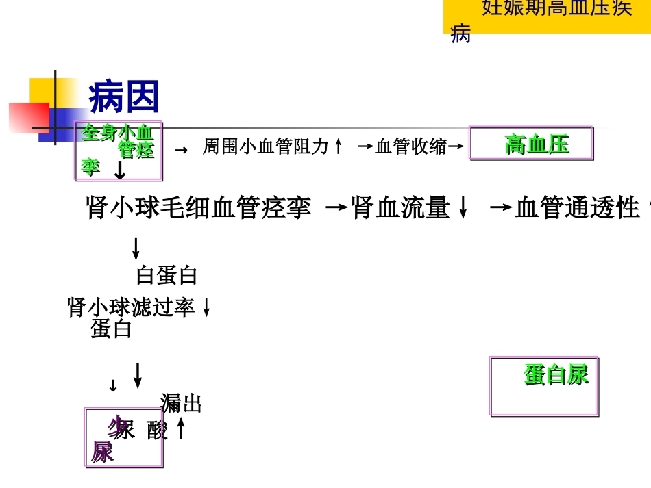 妇产科护理学-妊娠期高血压疾病_第13页