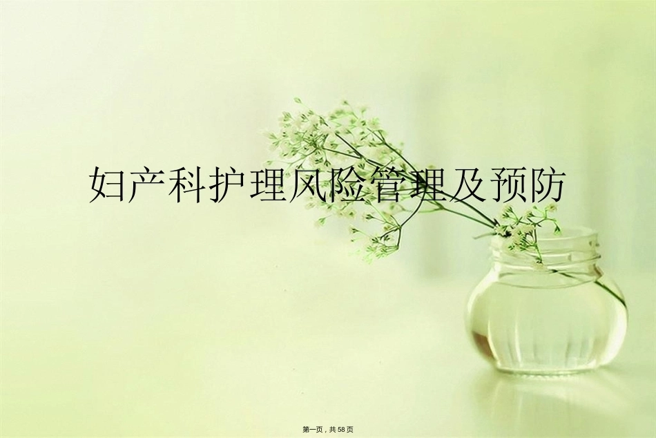 妇产科护理风险管理及预防_第1页
