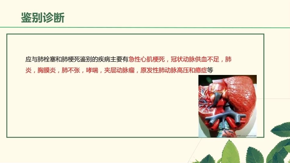 肺栓塞相关知识_第15页