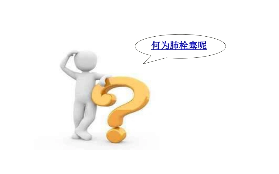 肺栓塞个案分析_第4页