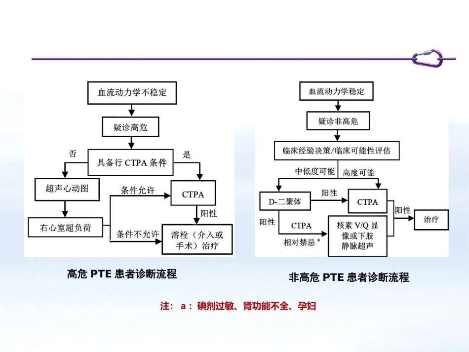 肺栓塞患者如何制定个体化抗凝策略_第4页