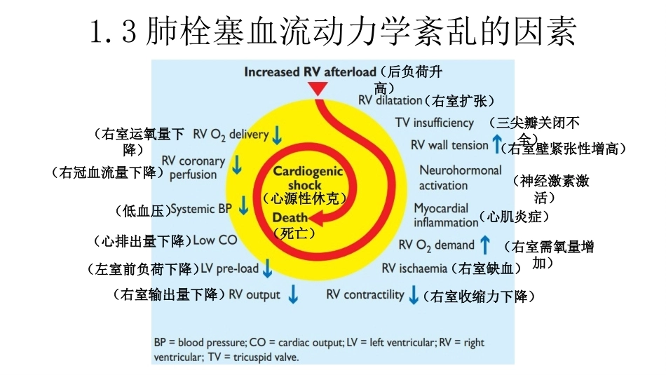 肺栓塞的诊治与护理ppt课件_第7页