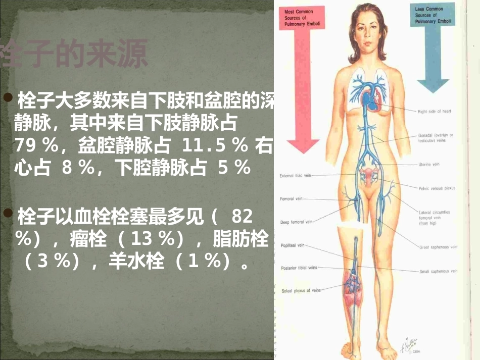 肺栓塞护理_第6页
