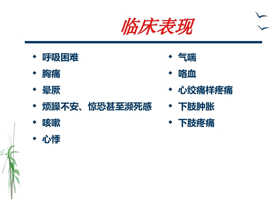肺栓塞的治疗与护理_第6页