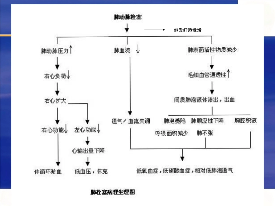 肺栓塞早期识别和治疗进展_第4页