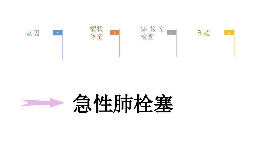 肺栓塞PBL(骨灰版)_第13页
