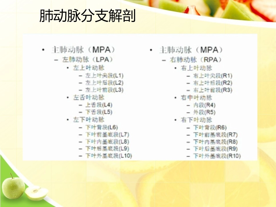 肺栓塞诊断演示_第6页