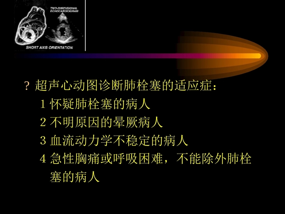 肺栓塞的超声心动图诊断ppt_第12页
