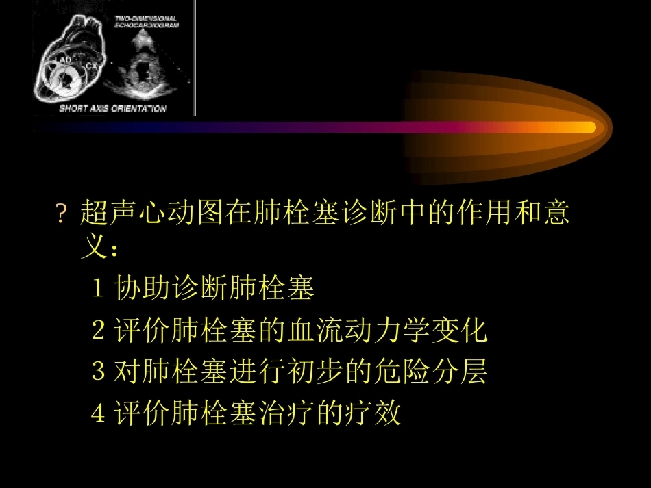 肺栓塞的超声心动图诊断ppt_第13页