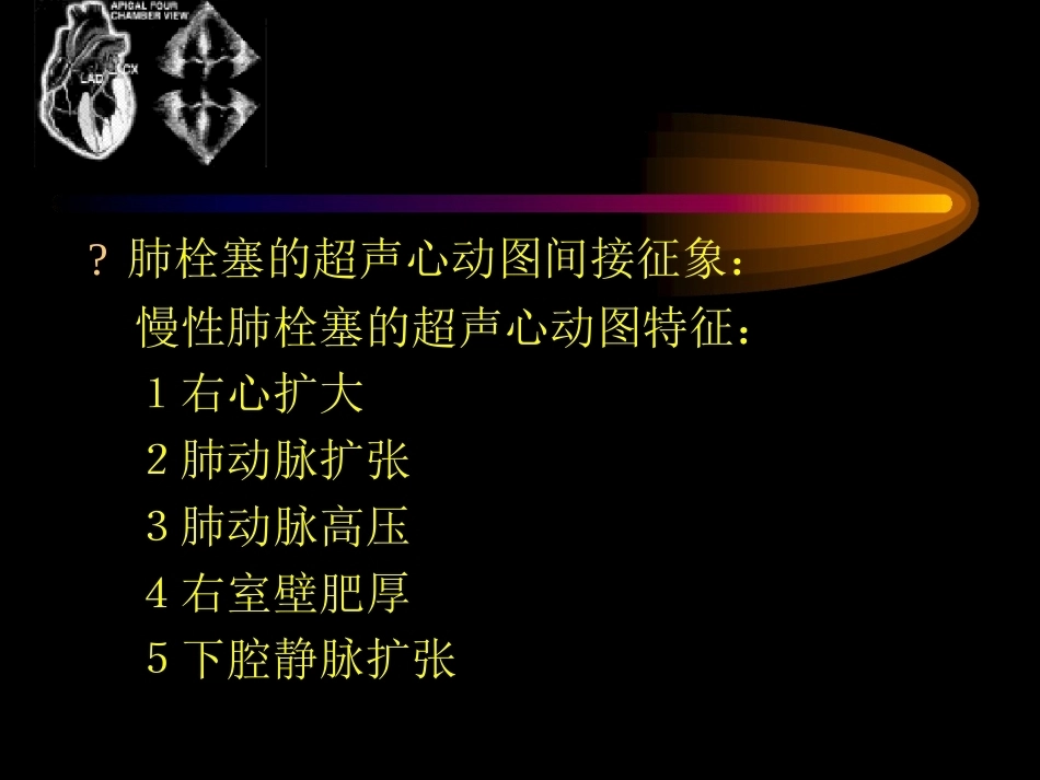 肺栓塞的超声心动图诊断ppt_第4页