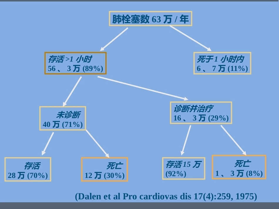 肺栓塞的诊断与治疗 PPT(1)_第4页