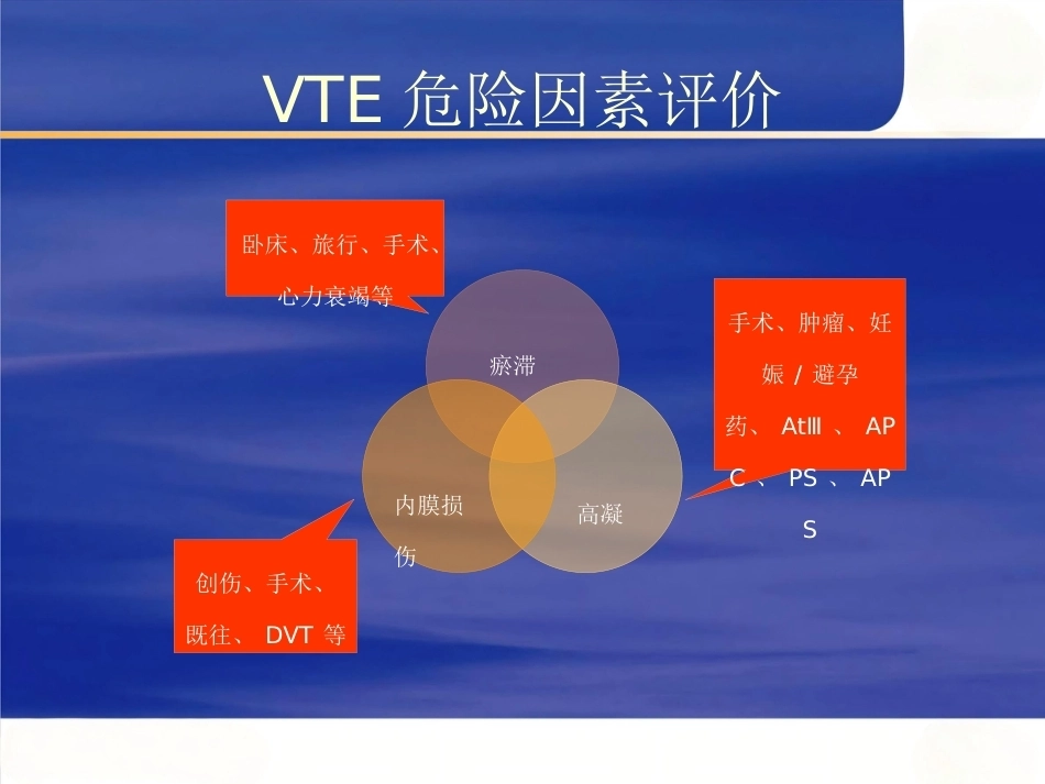肺栓塞的诊断和治疗(1)_第12页