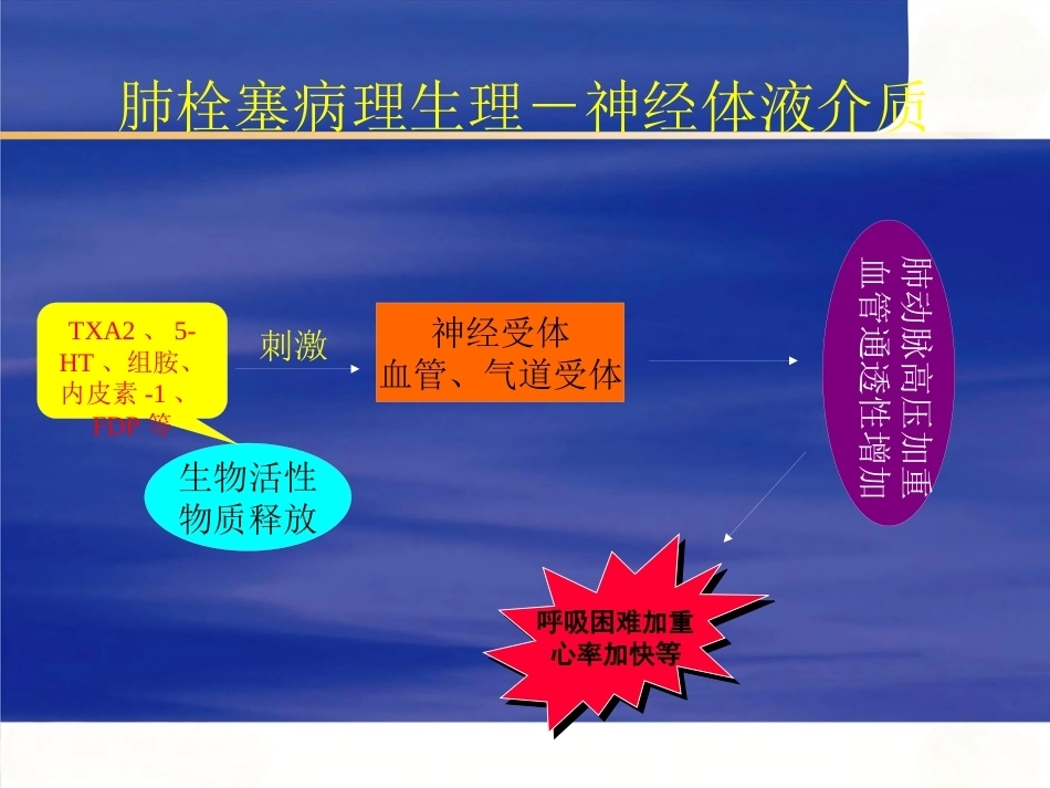 肺栓塞 (2)_第11页