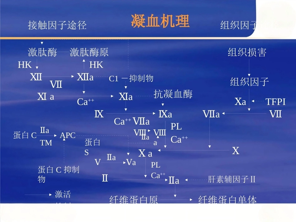 肺栓塞的诊断与治疗 PPT(2)_第9页