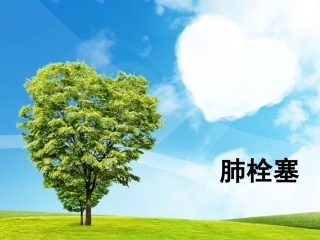 肺栓塞(3)