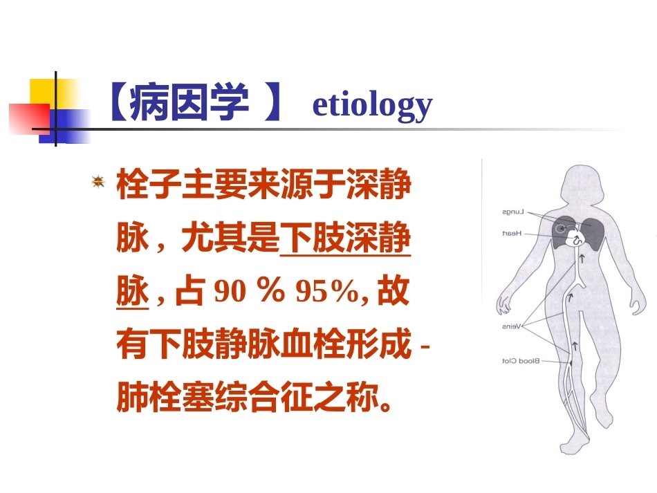 肺栓塞的诊断与治疗 PPT(5)_第8页
