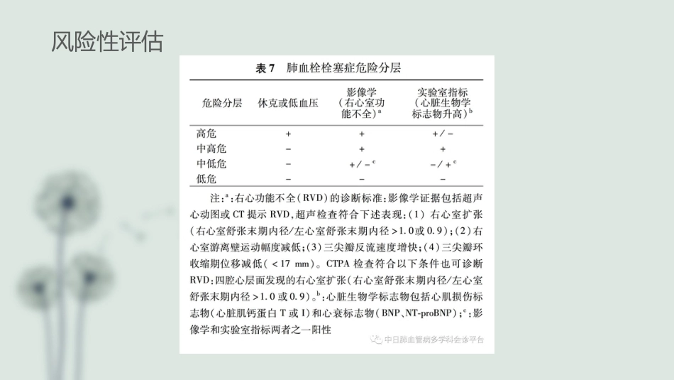肺栓塞(8)_第11页