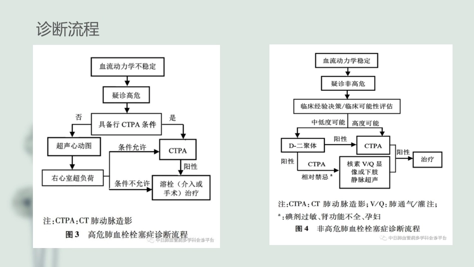 肺栓塞(8)_第13页
