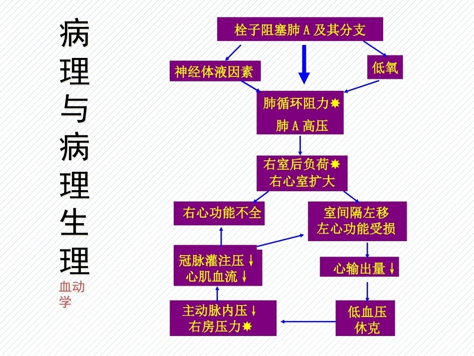 肺栓塞(10)_第9页