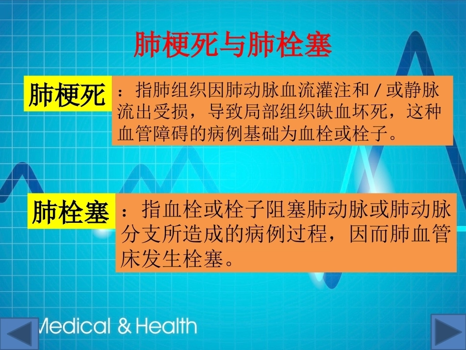 肺栓塞(13)_第15页