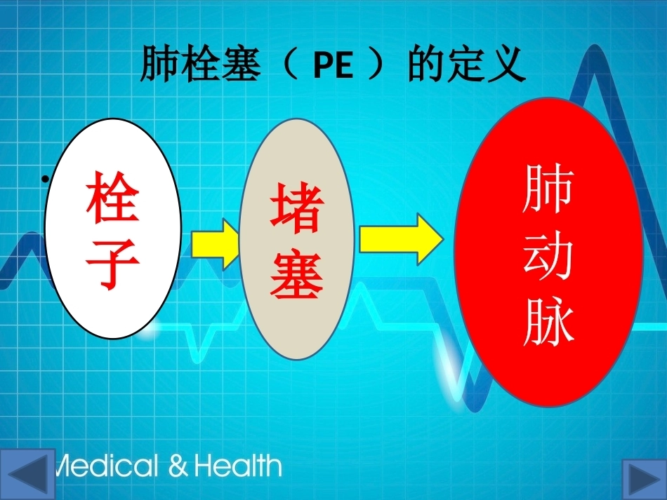 肺栓塞(13)_第2页